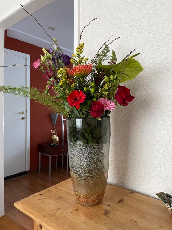 Appartement De Gouw Noordgouwe エクステリア 写真